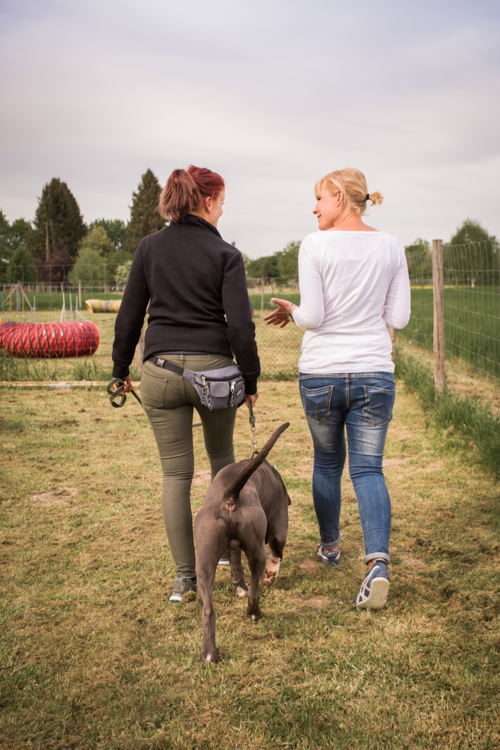 Wesenstest Vorbereitung hundsamma